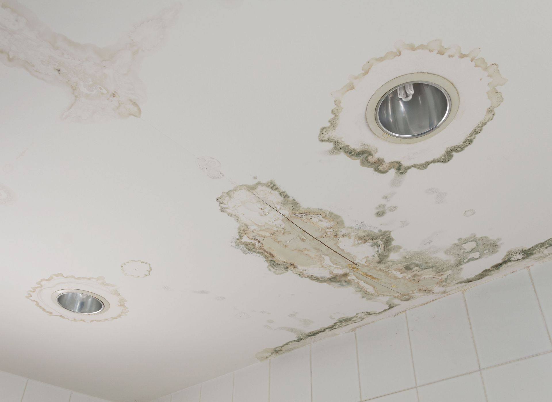 A ceiling with molds.