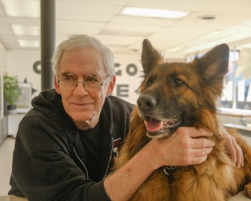 A man is petting a german shepherd dog on a table.