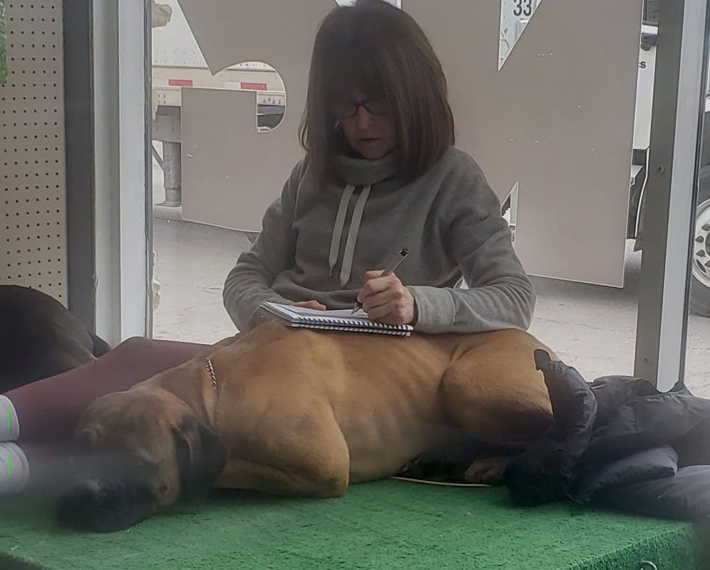 A woman is sitting next to a dog on a table