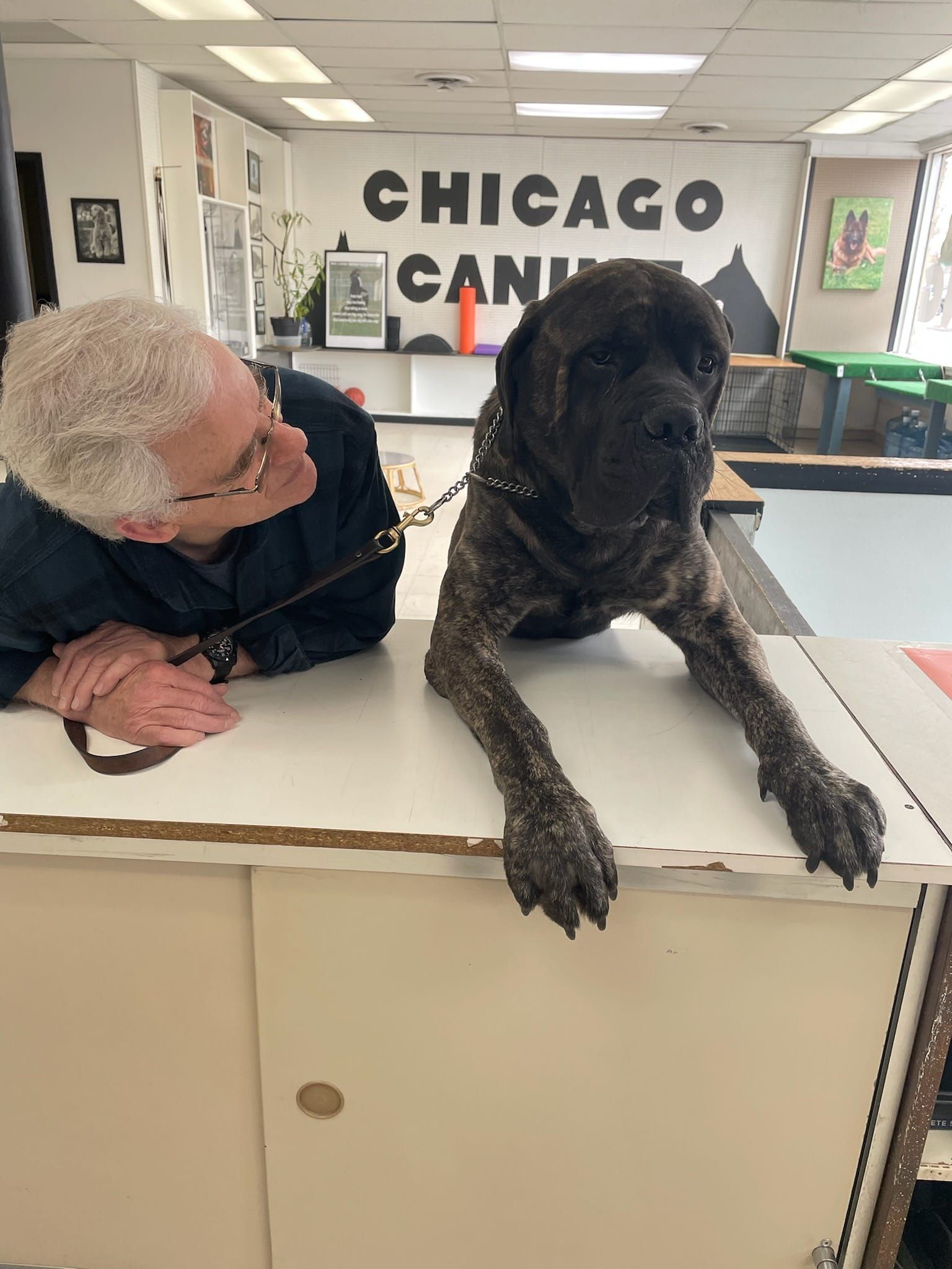 A man is laying on a counter next to a dog.