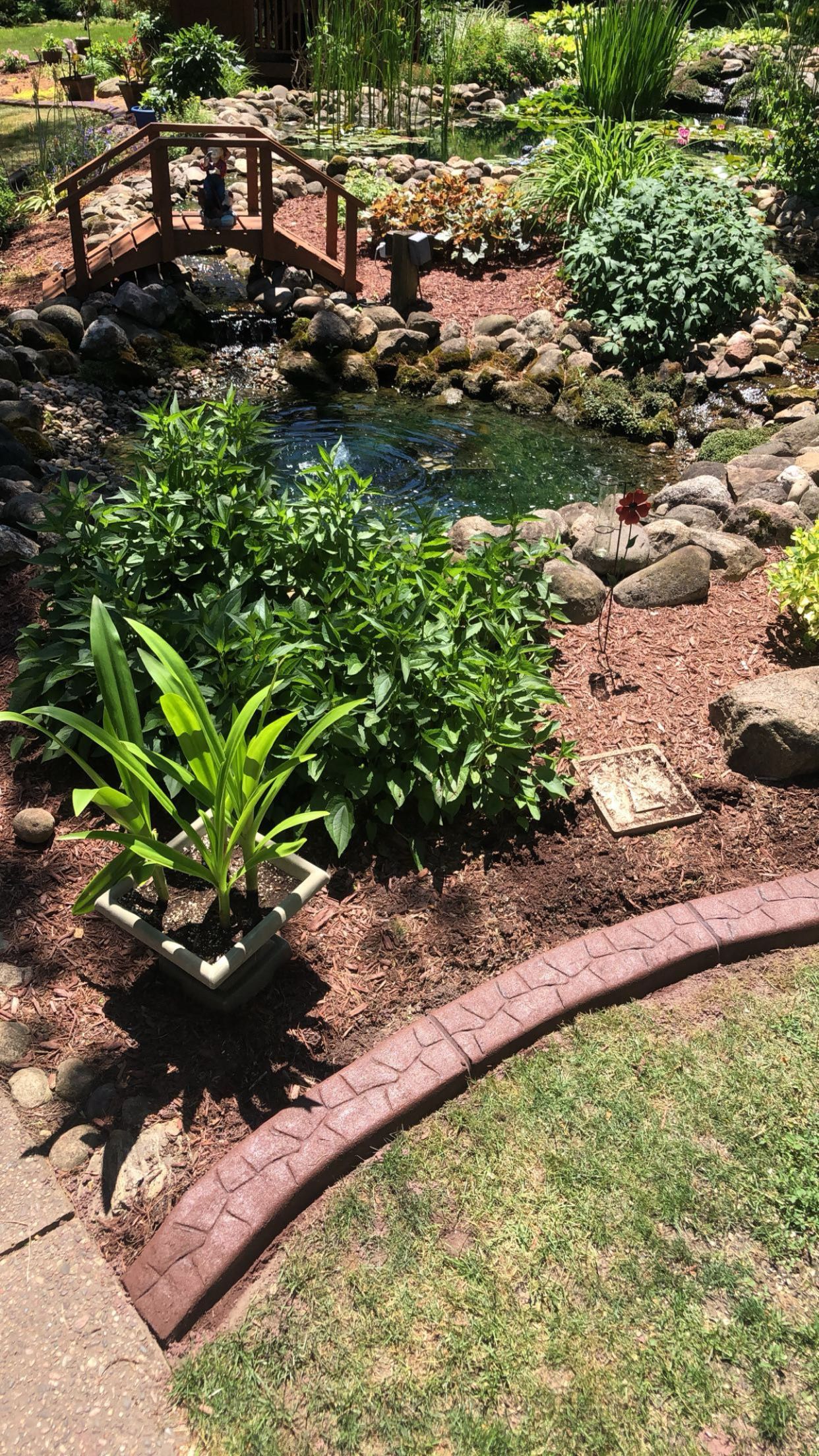 There is a bridge over a pond in the middle of the garden.