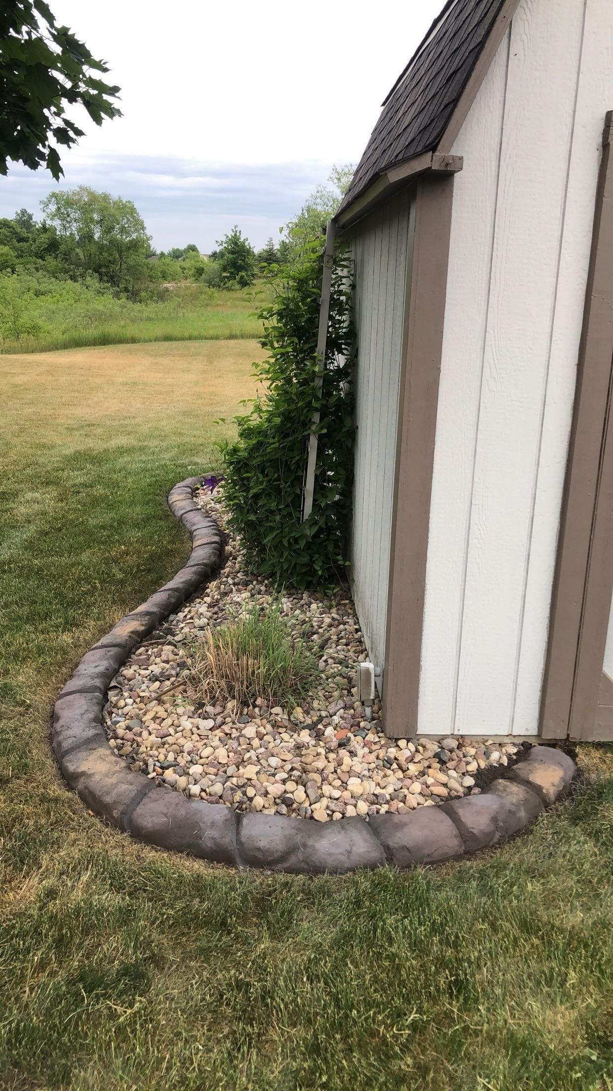 A shed with a garden in front of it.