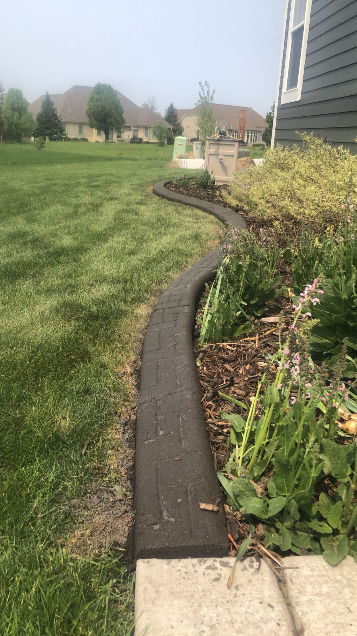 A concrete walkway going through a lush green yard next to a house.