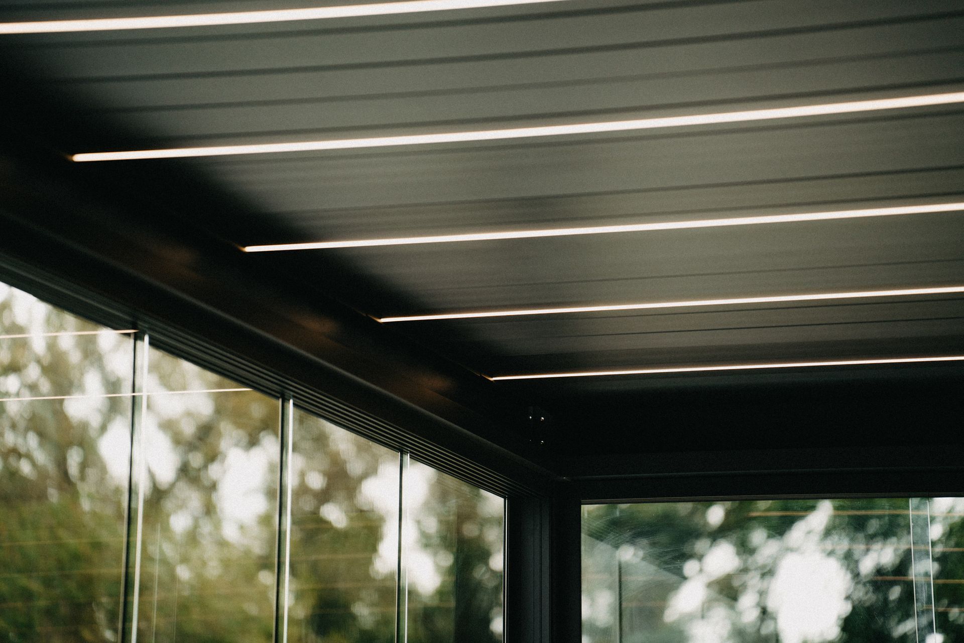 Modern building ceiling with dark beams and a row of skylights above glass walls with trees outside