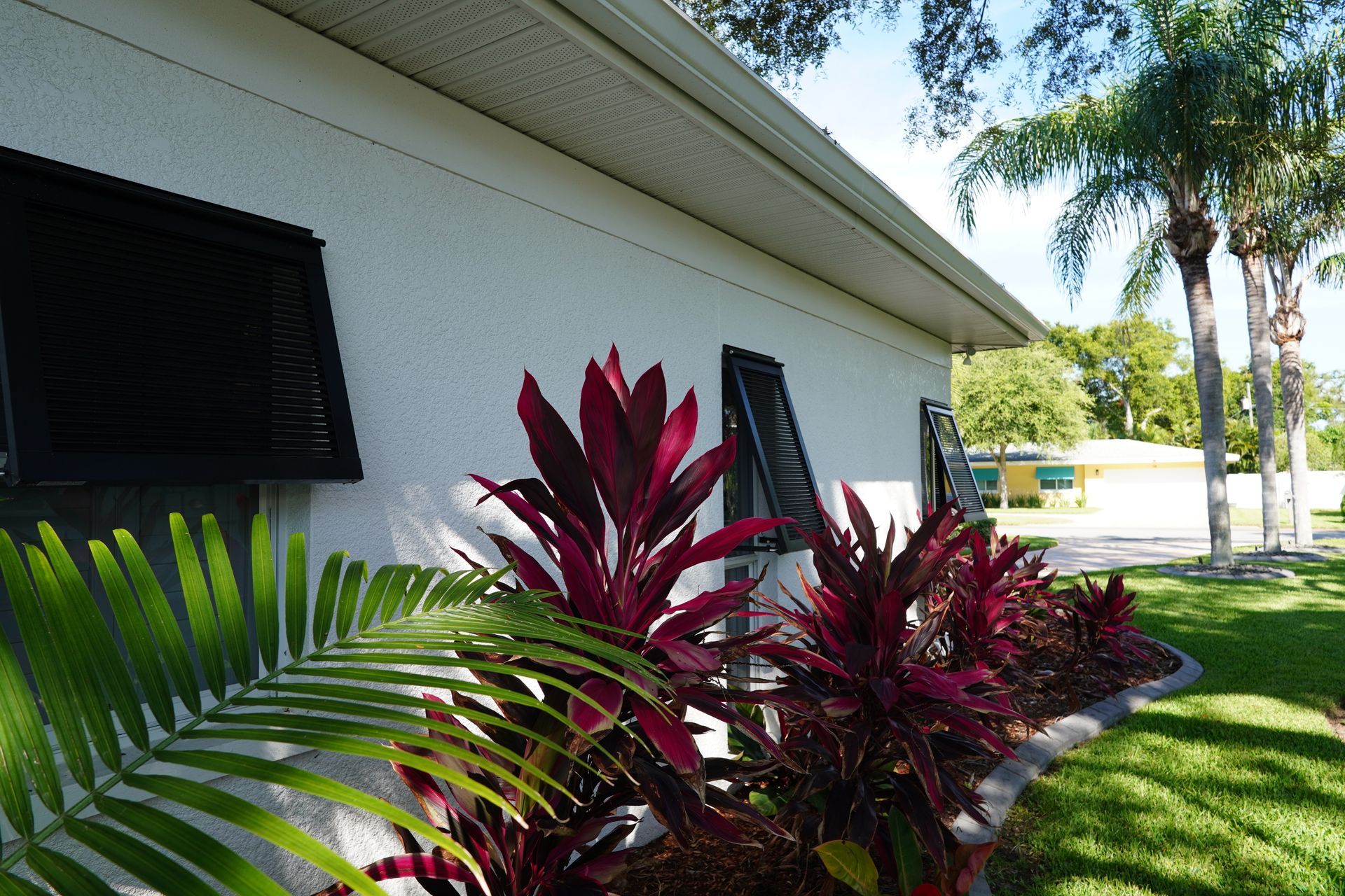 White house exterior with black shutters and red tropical plants along a sunny lawn