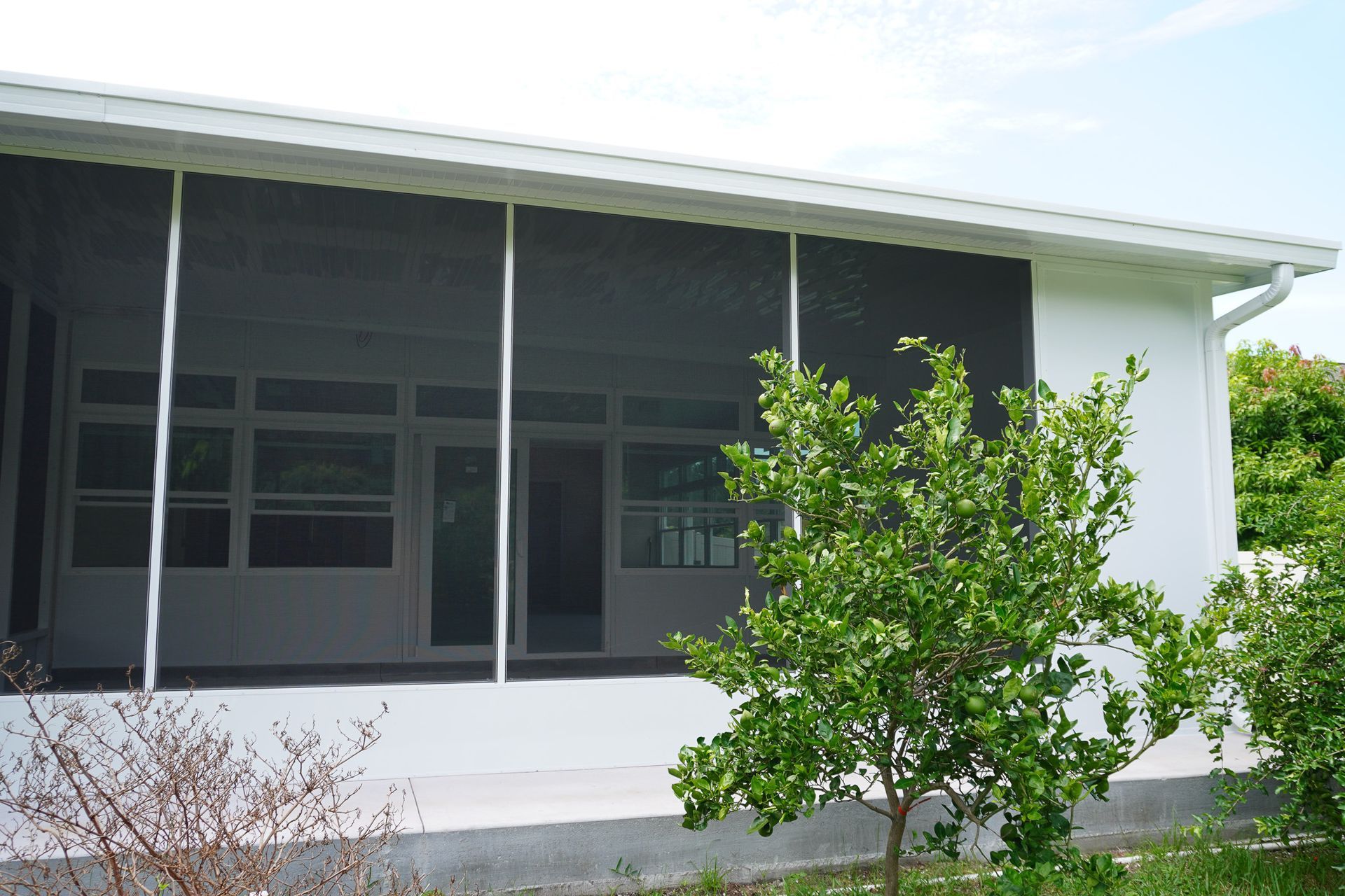 Screened porch on a white house with a small tree in front