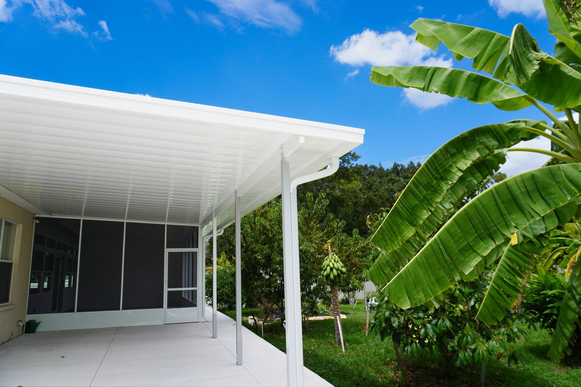 Modern white house porch with large banana leaves, lush green garden, and blue sky