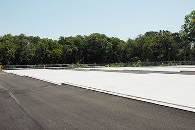 White parking space markings painted onto fresh black asphalt, with a line of trees in the background.