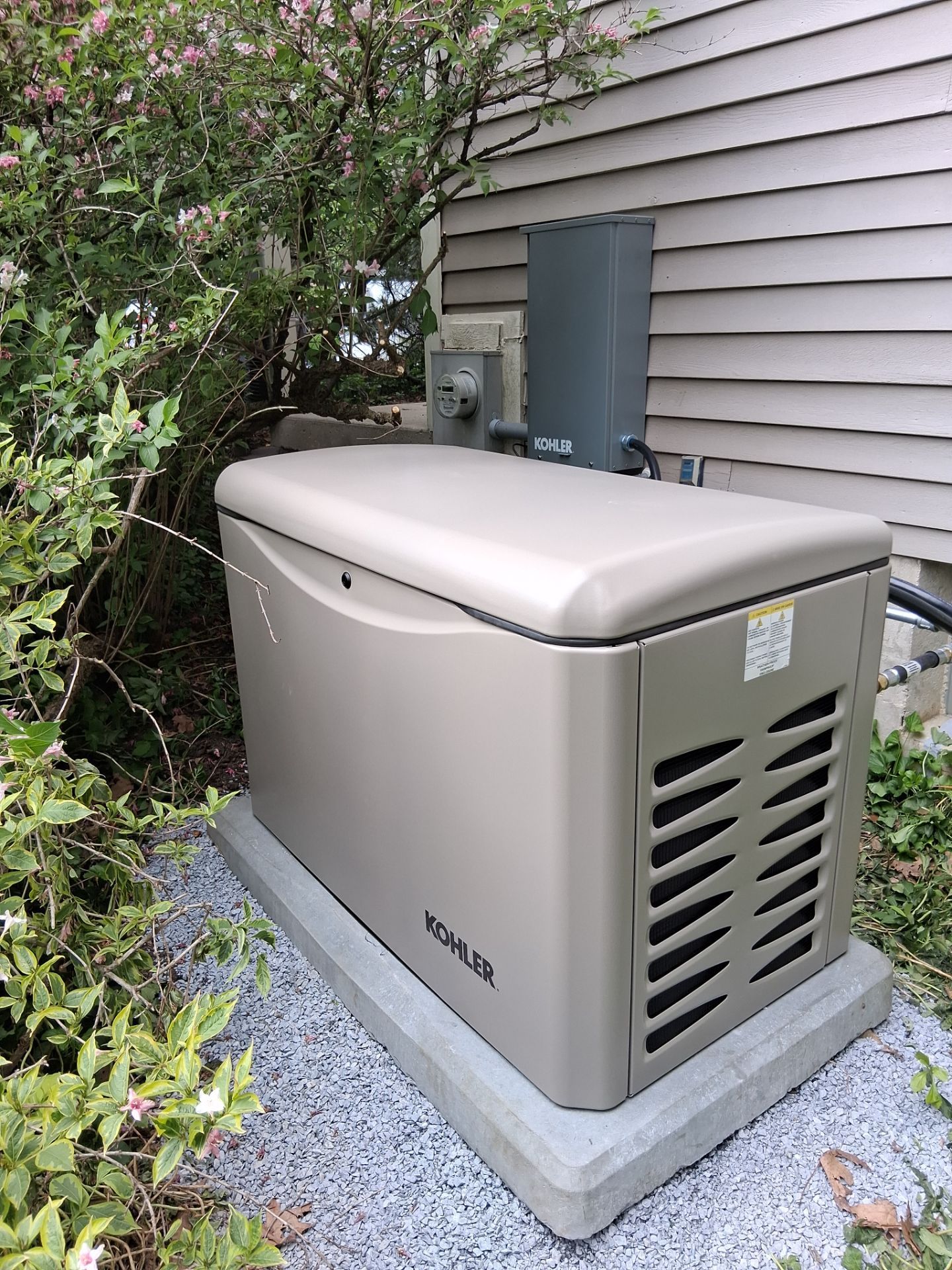 Residential generator beside house, surrounded by shrubs and gravel.