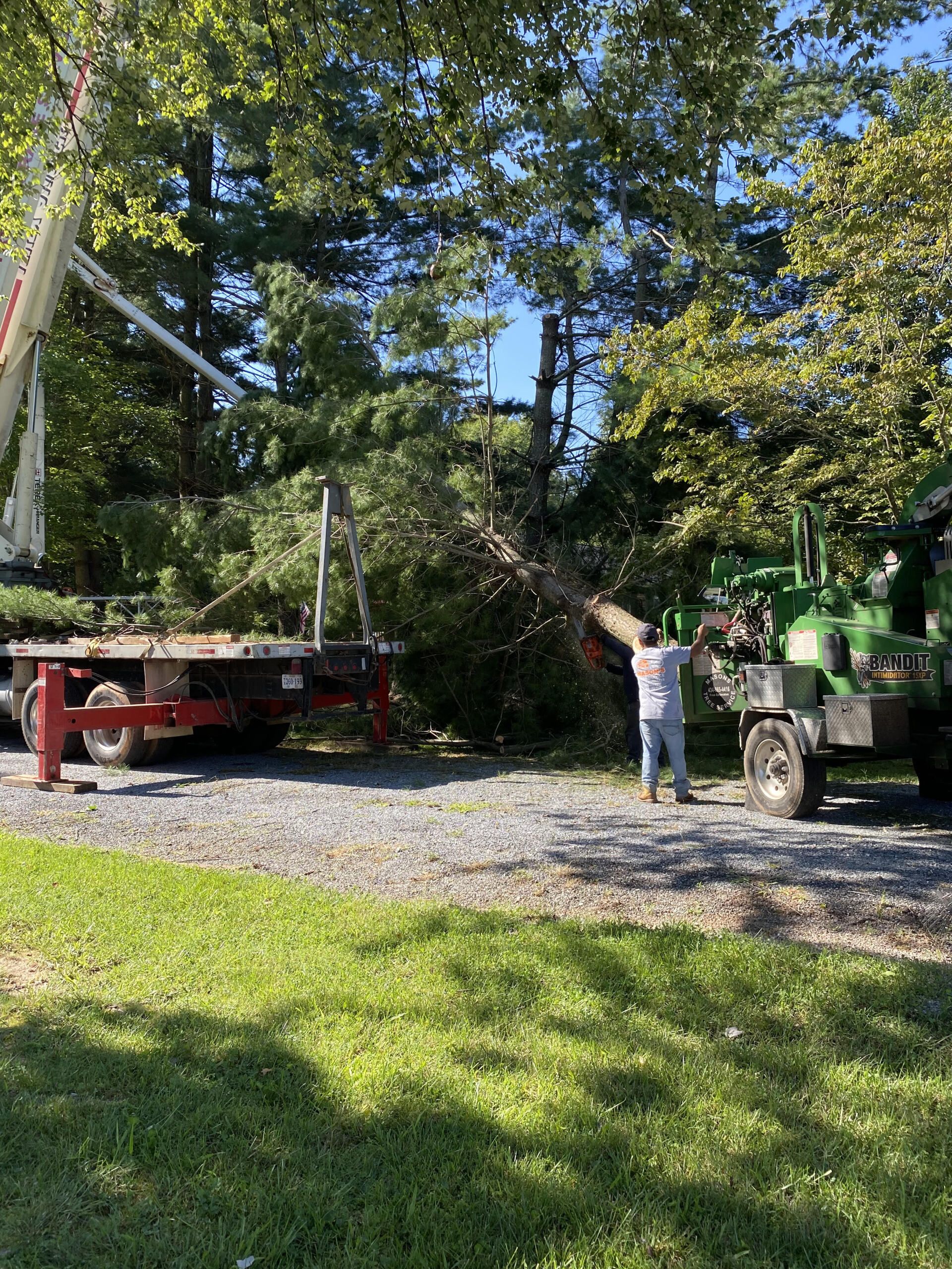 A man is standing next to a tree chipper in a driveway.