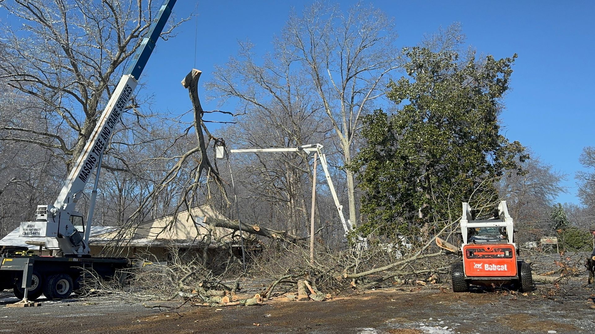 A crane is cutting down a tree in a yard.