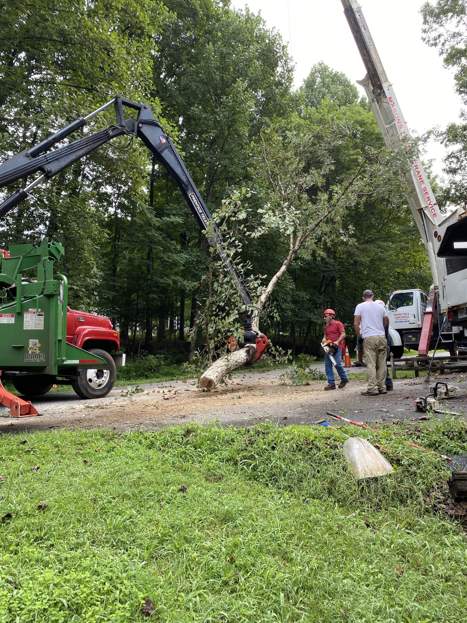 A crane is cutting down a tree in a yard.