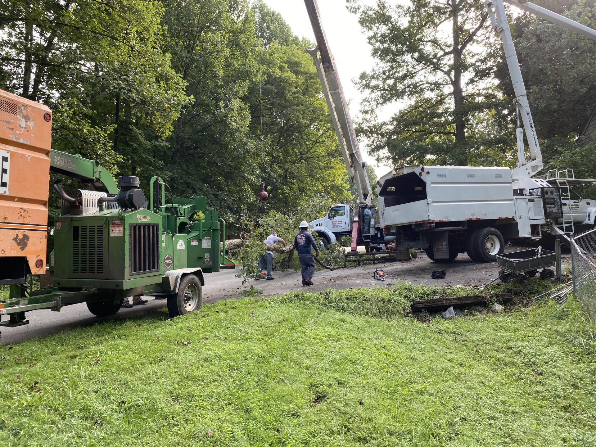 A group of people are working on a tree in a yard.