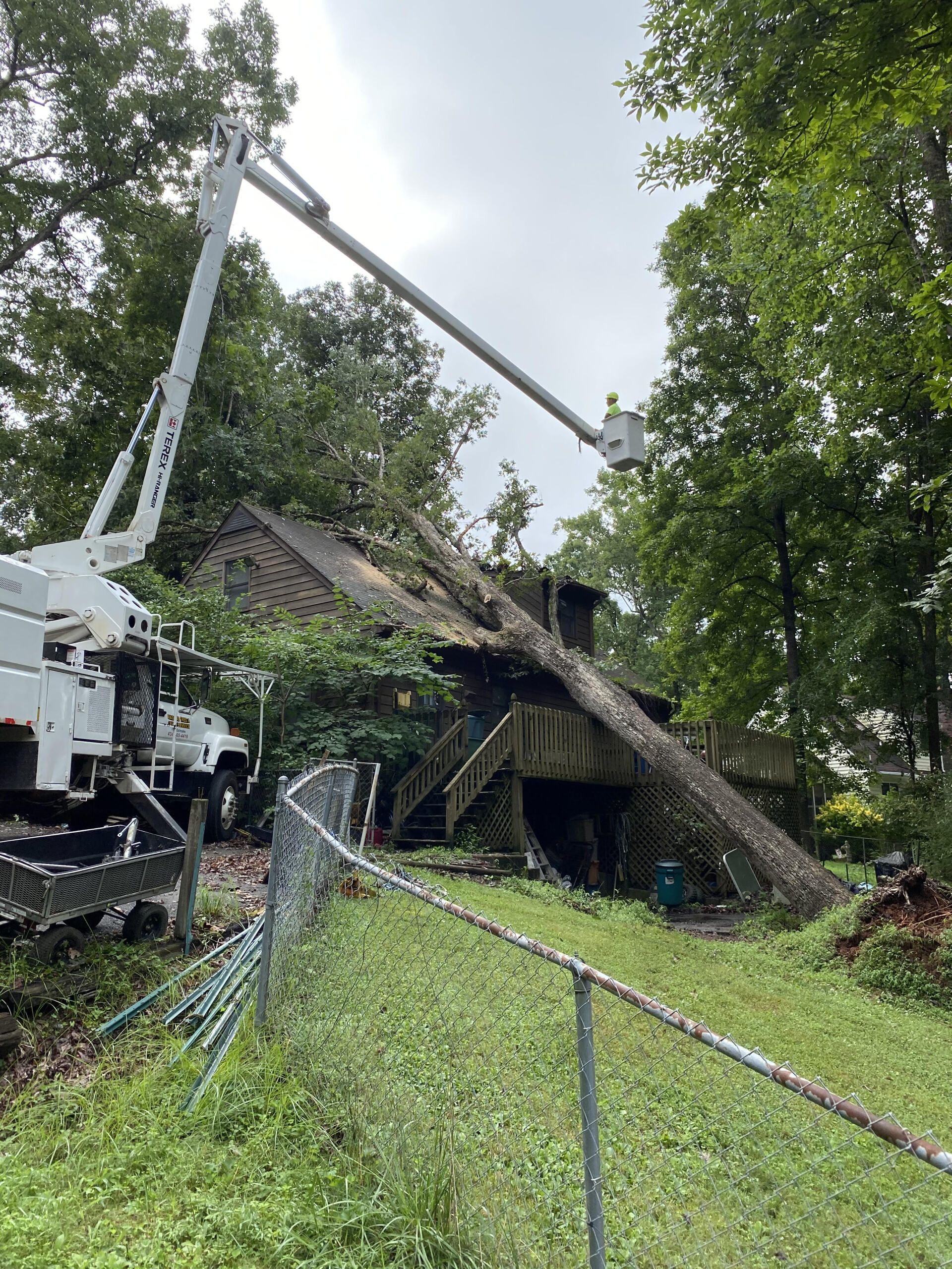 A crane is cutting a tree in front of a house.