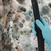 Cleaning of mold