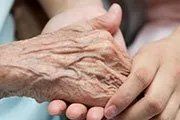 Elderly Hands