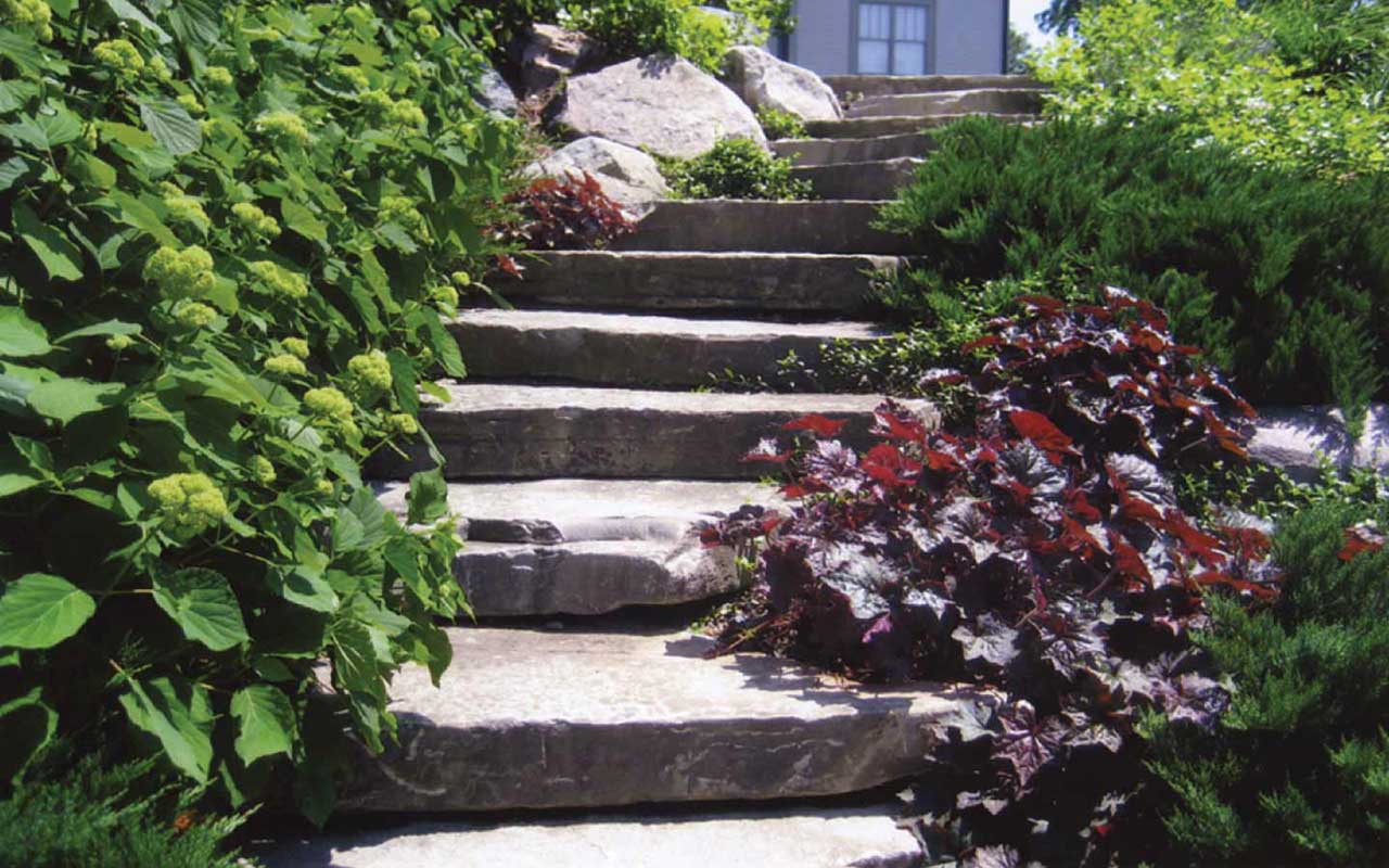 a set of stairs leading up to a house surrounded by plants