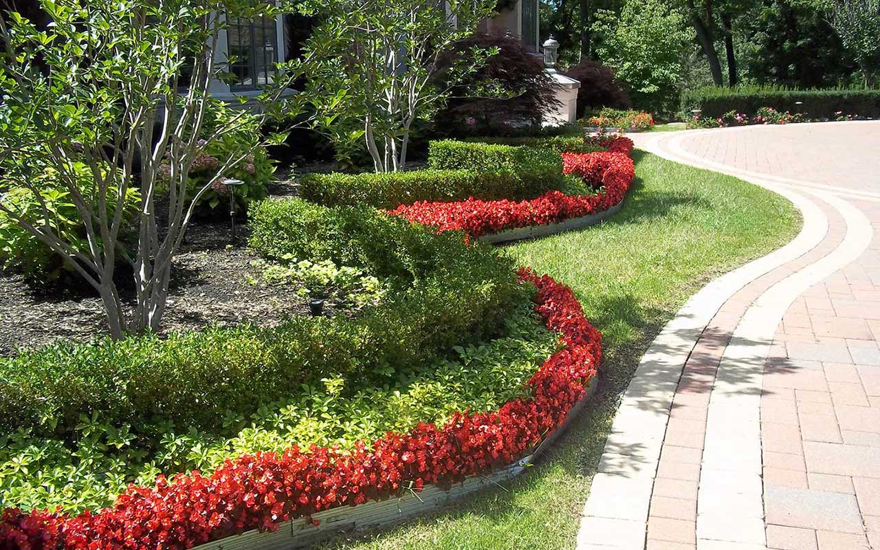 a brick driveway with a row of red flowers on the side of it .