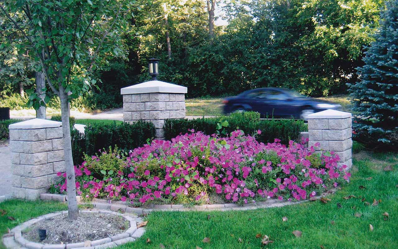 a car is driving past a garden with pink flowers