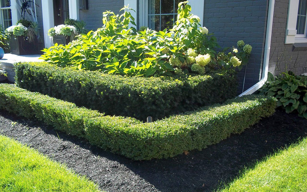 a house with a lawn and bushes in front of it