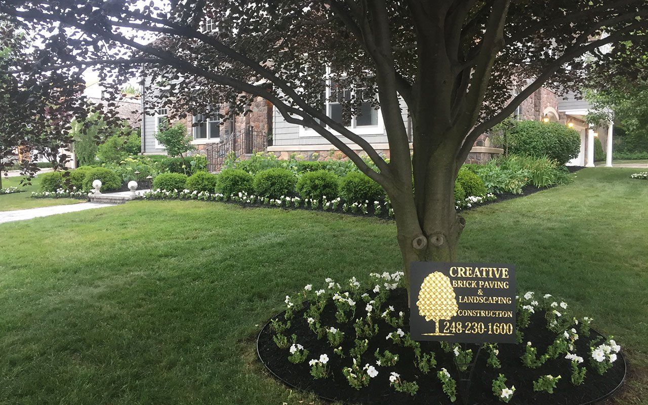 a tree with a sign in front of it that says creative