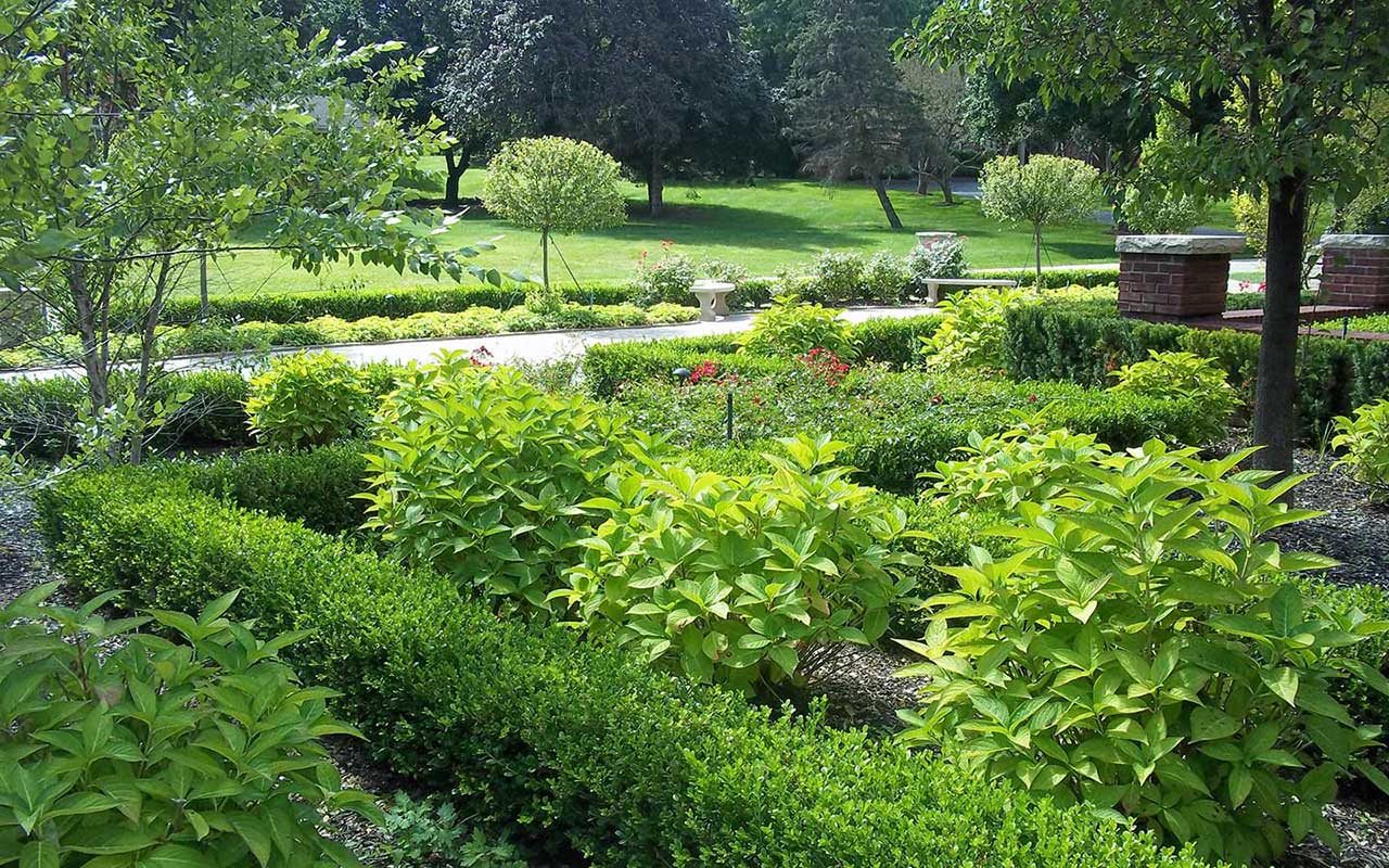a garden filled with lots of green plants and trees