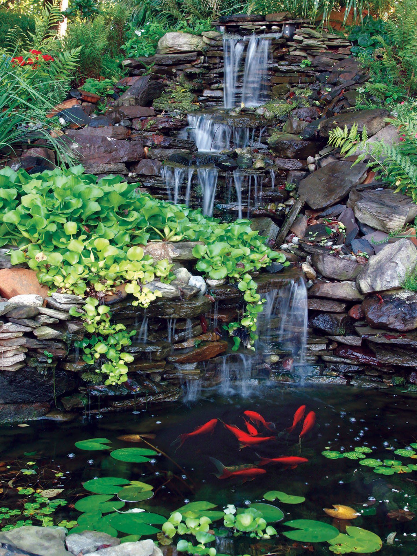 A pond with a waterfall and fish in it