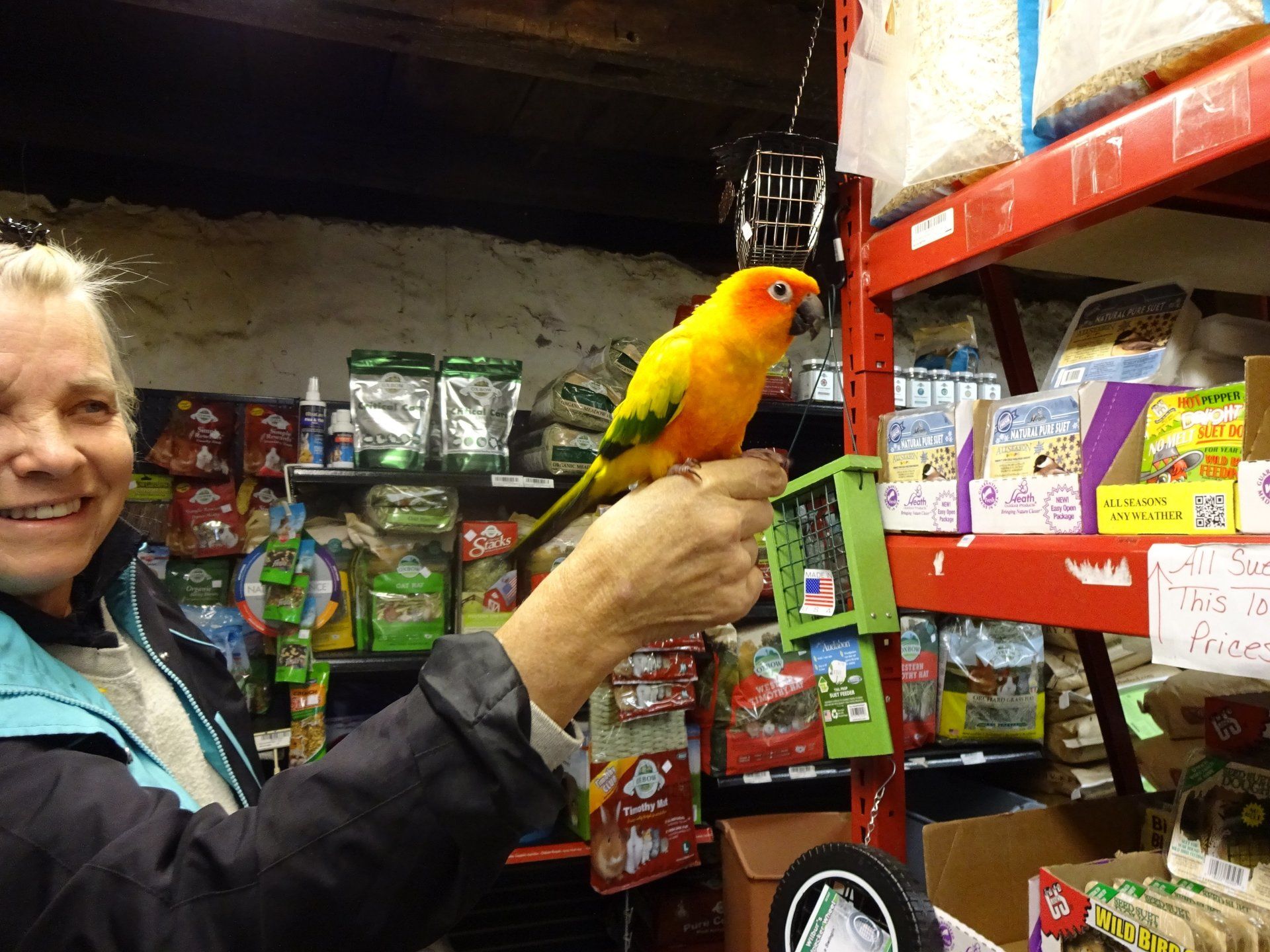 best Indoor birds feed, small pet supplies store in Media