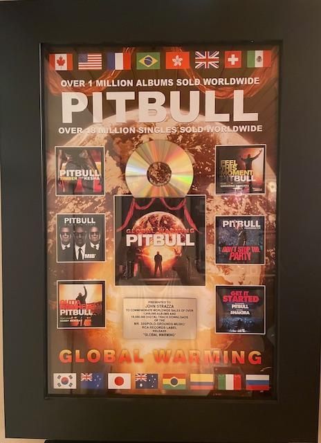 Framed Pitbull album display with a gold CD, album art, and a plaque.  Flags and text: 