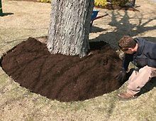 Hardwood mulch