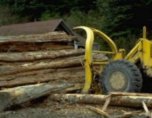 Wood cleaning