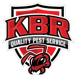 KBR Quality Pest Services | Logo