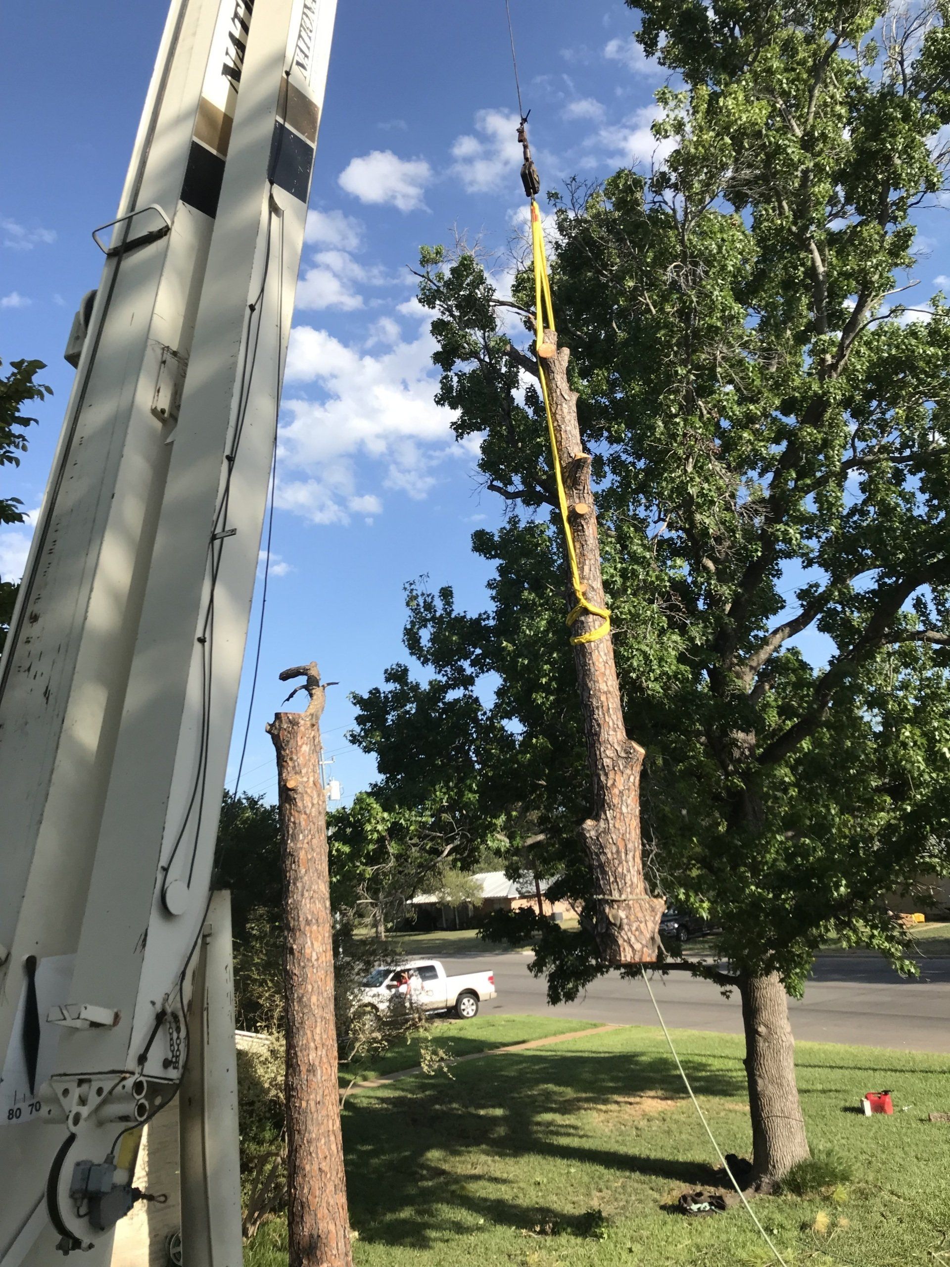 A tree is being cut down by a crane in a yard.