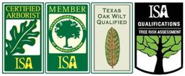 Certified Arborist ISA and Texas Oak Wilt Qualified- Logo