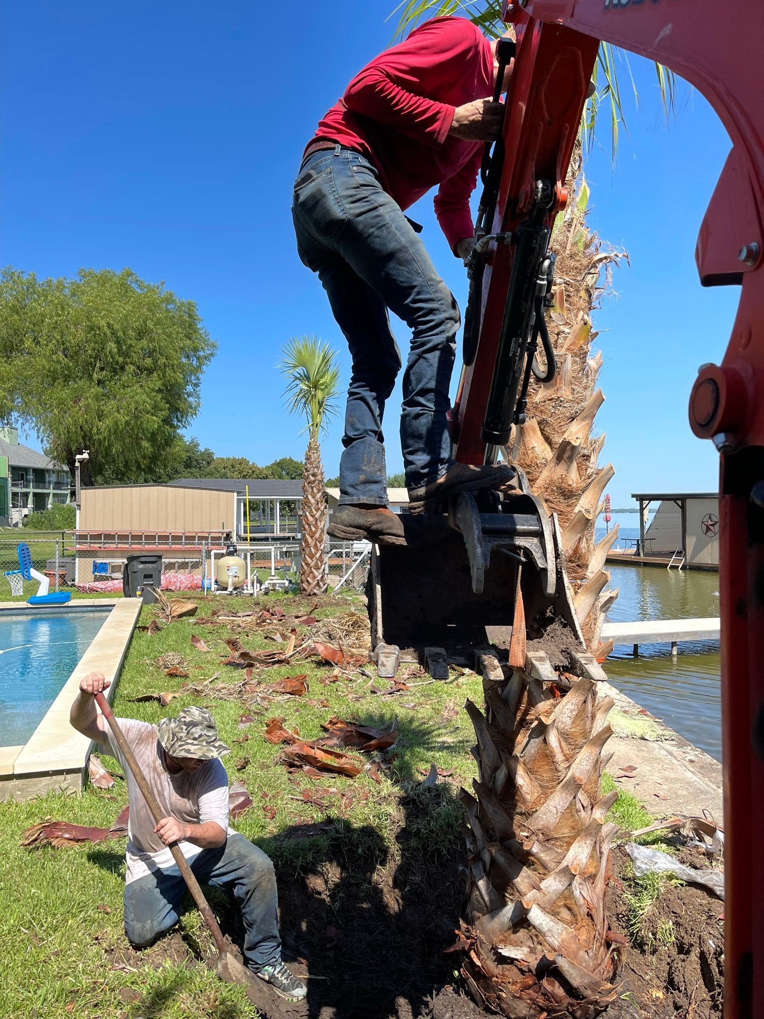 Two men are digging a hole in a palm tree.
