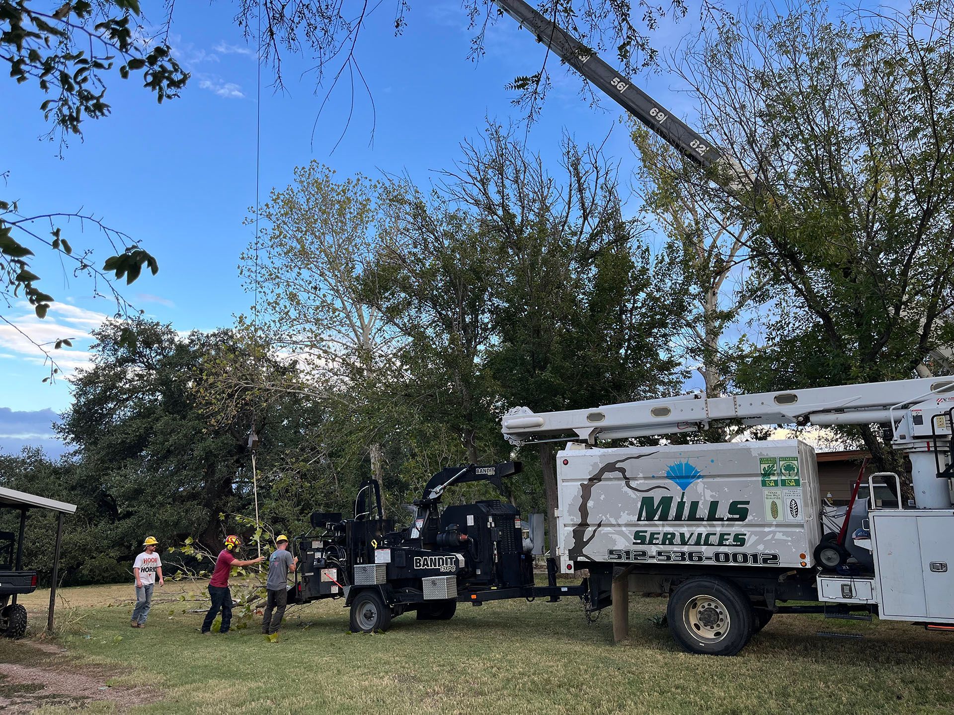A mills tree service truck is parked in a grassy field.