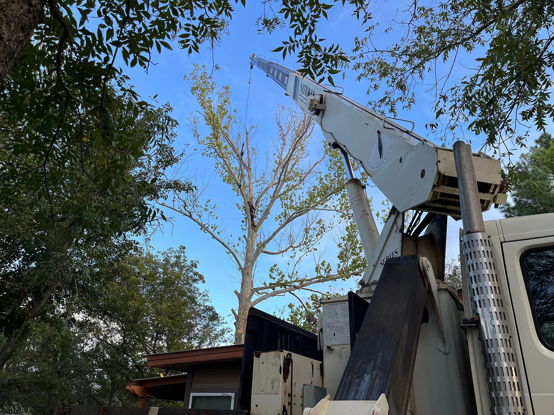 A white truck with a crane attached to it is cutting a tree