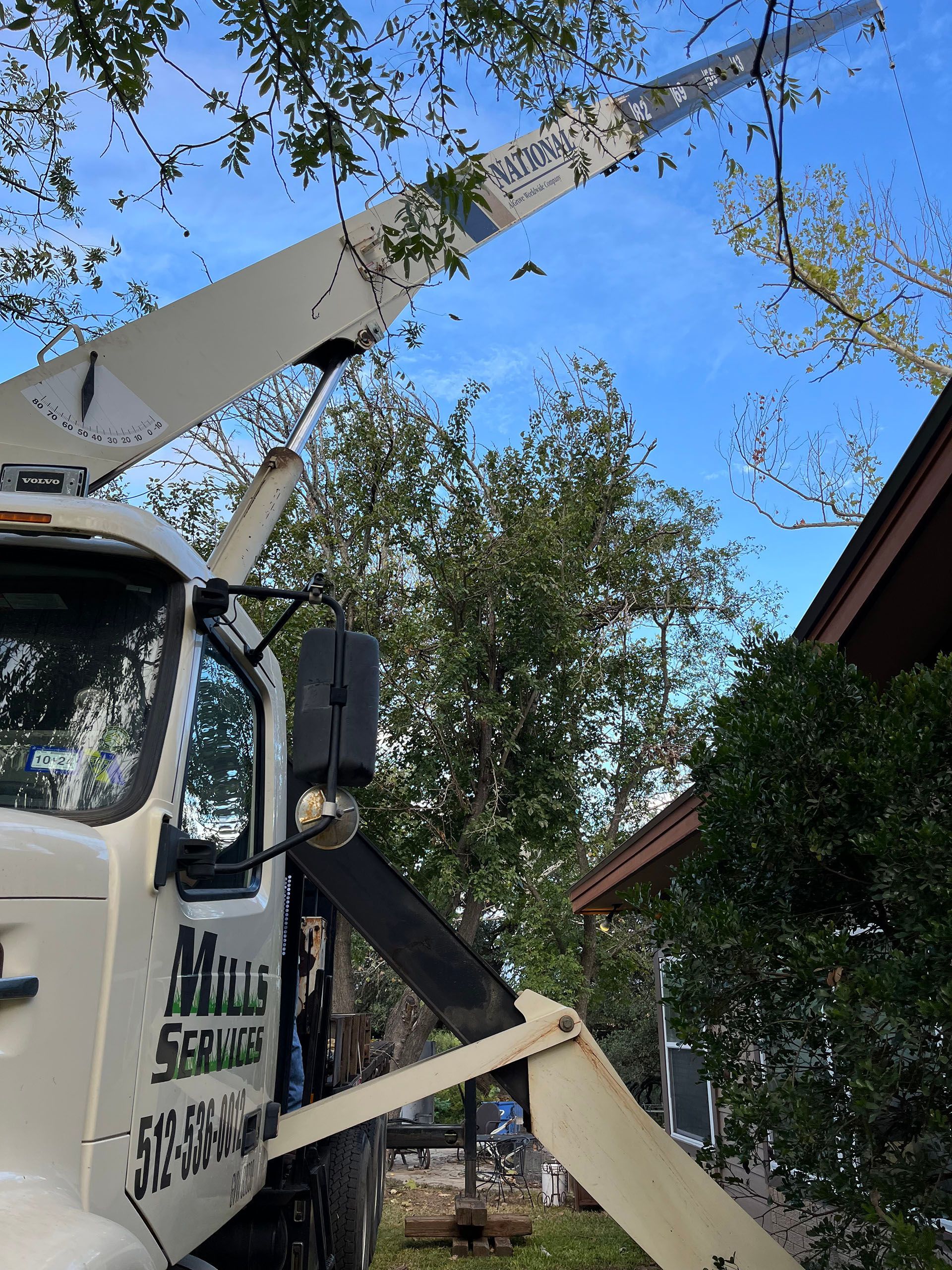 A white multi service truck is cutting a tree branch
