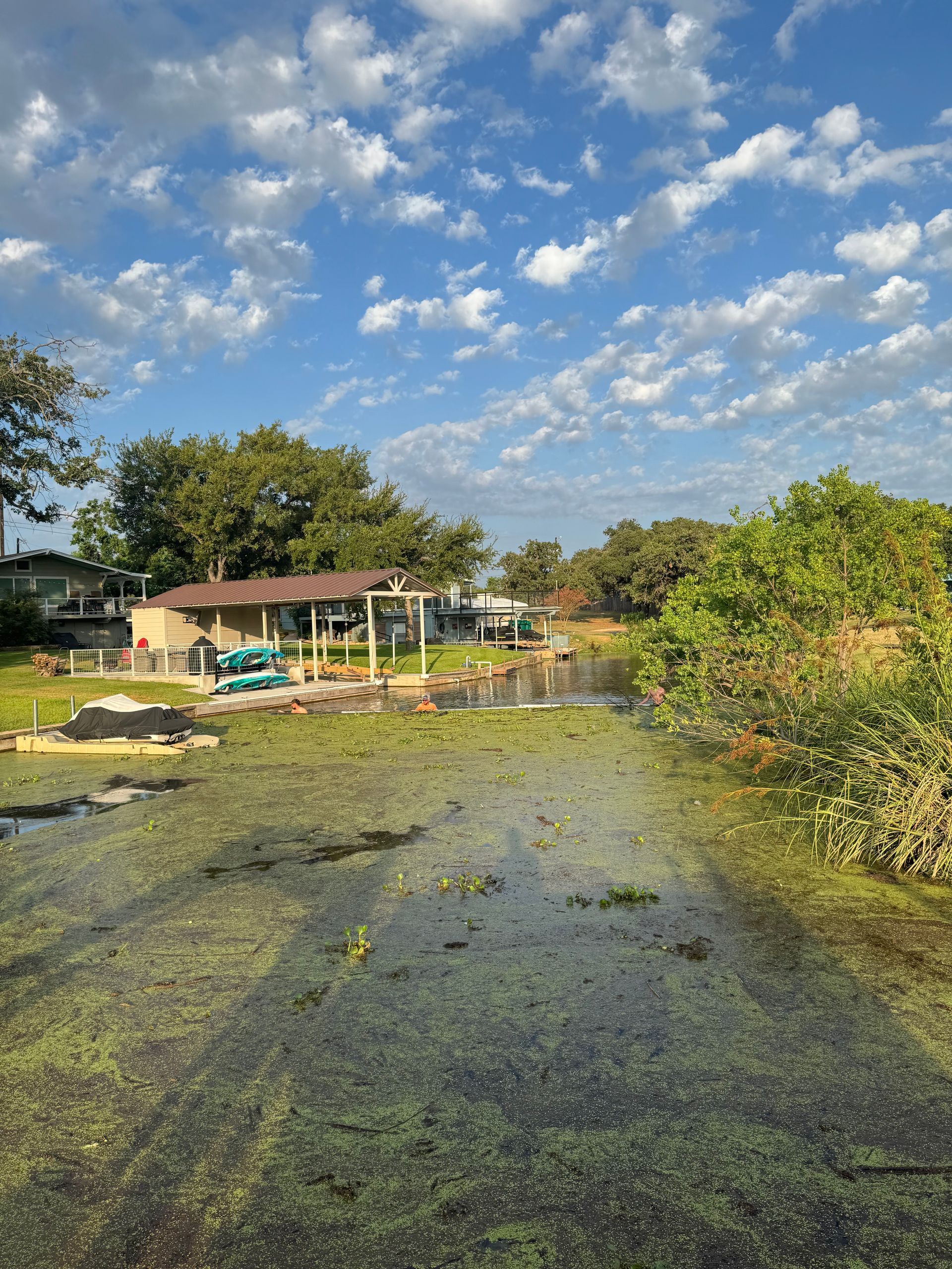 A marshy water body with a house in the background, under a blue sky with clouds.