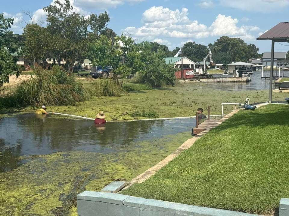 People removing green algae from a canal. A person sits on a dock, houses line the bank. Sunny day.