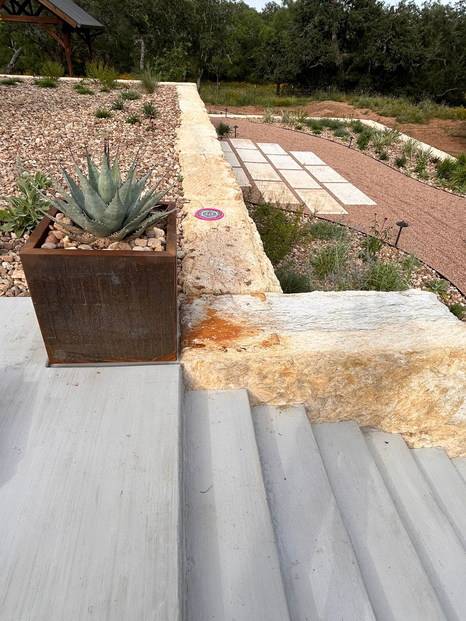 A potted plant is sitting on top of a set of stairs.