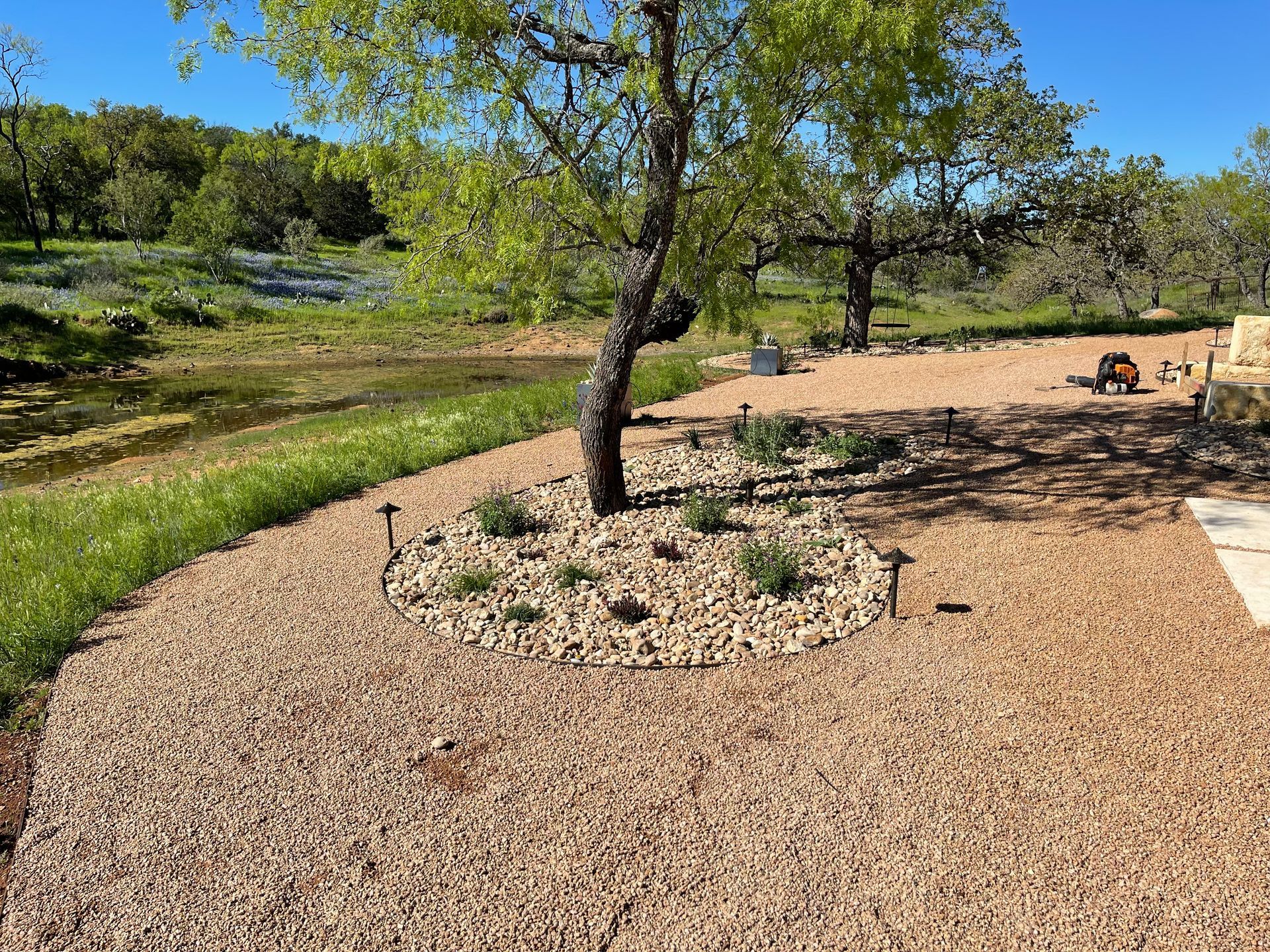 There is a tree in the middle of a gravel area.
