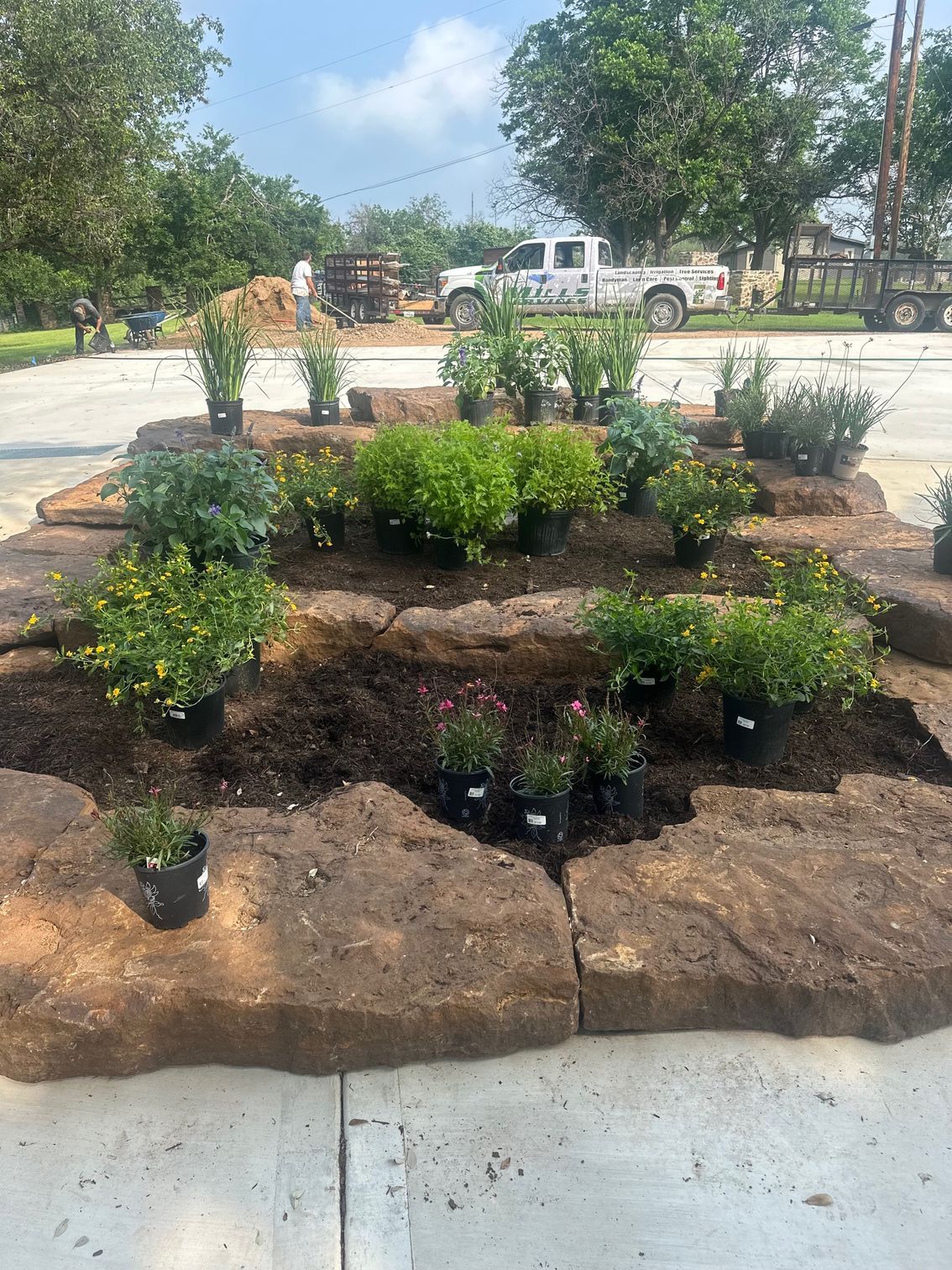 A bunch of potted plants are sitting on top of a concrete surface.