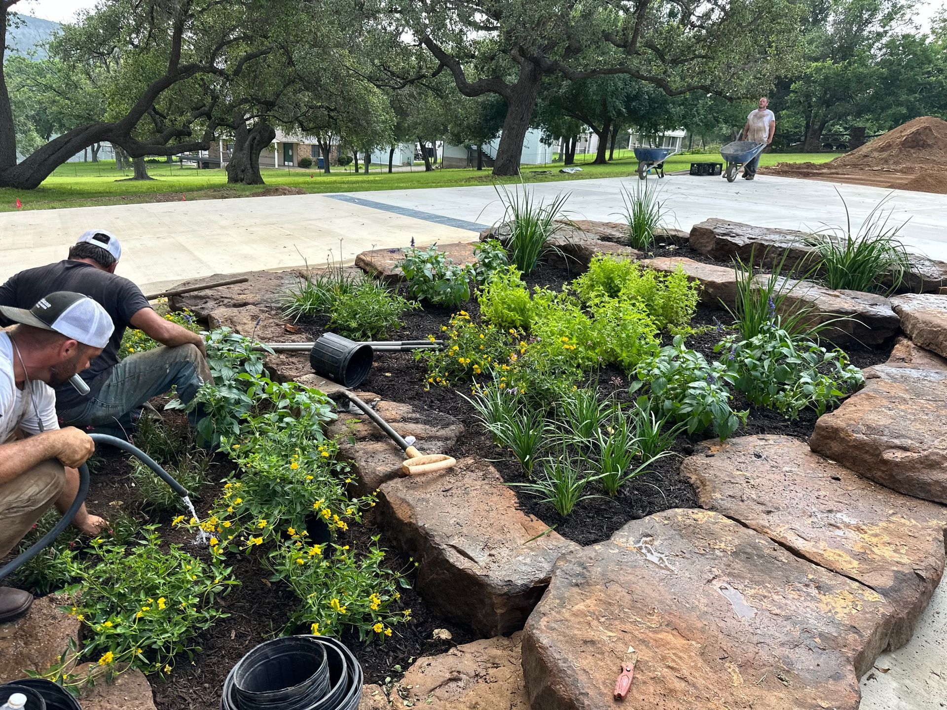 A group of men are working in a garden.