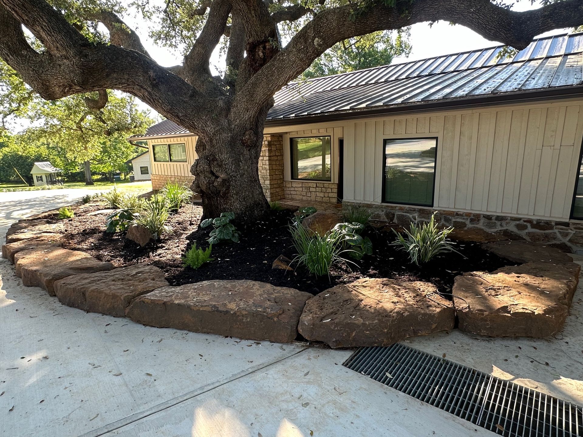A large tree is sitting in front of a house surrounded by rocks.