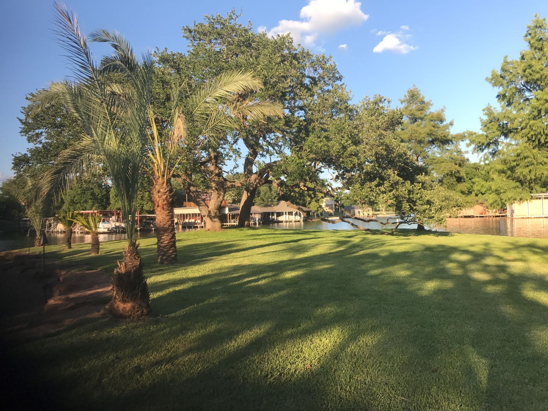 A lush green field with trees and a body of water in the background