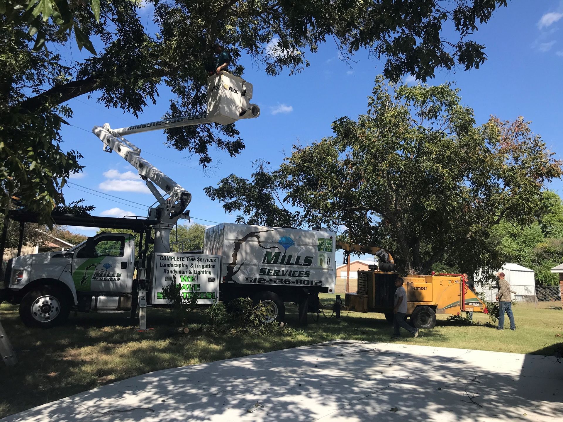 A tree trimming truck is parked in a driveway next to a tree.