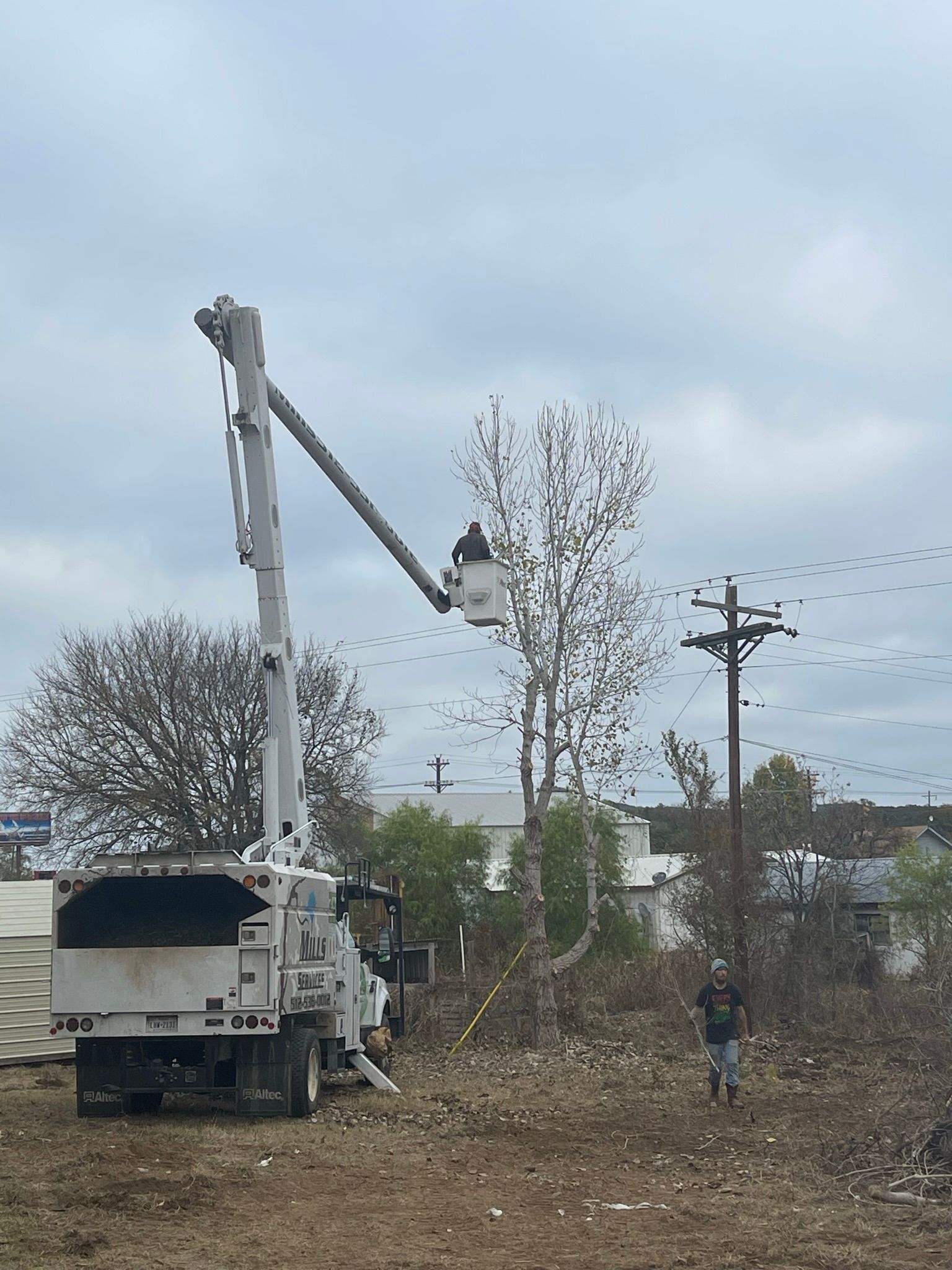 A crane is cutting a tree in a field.
