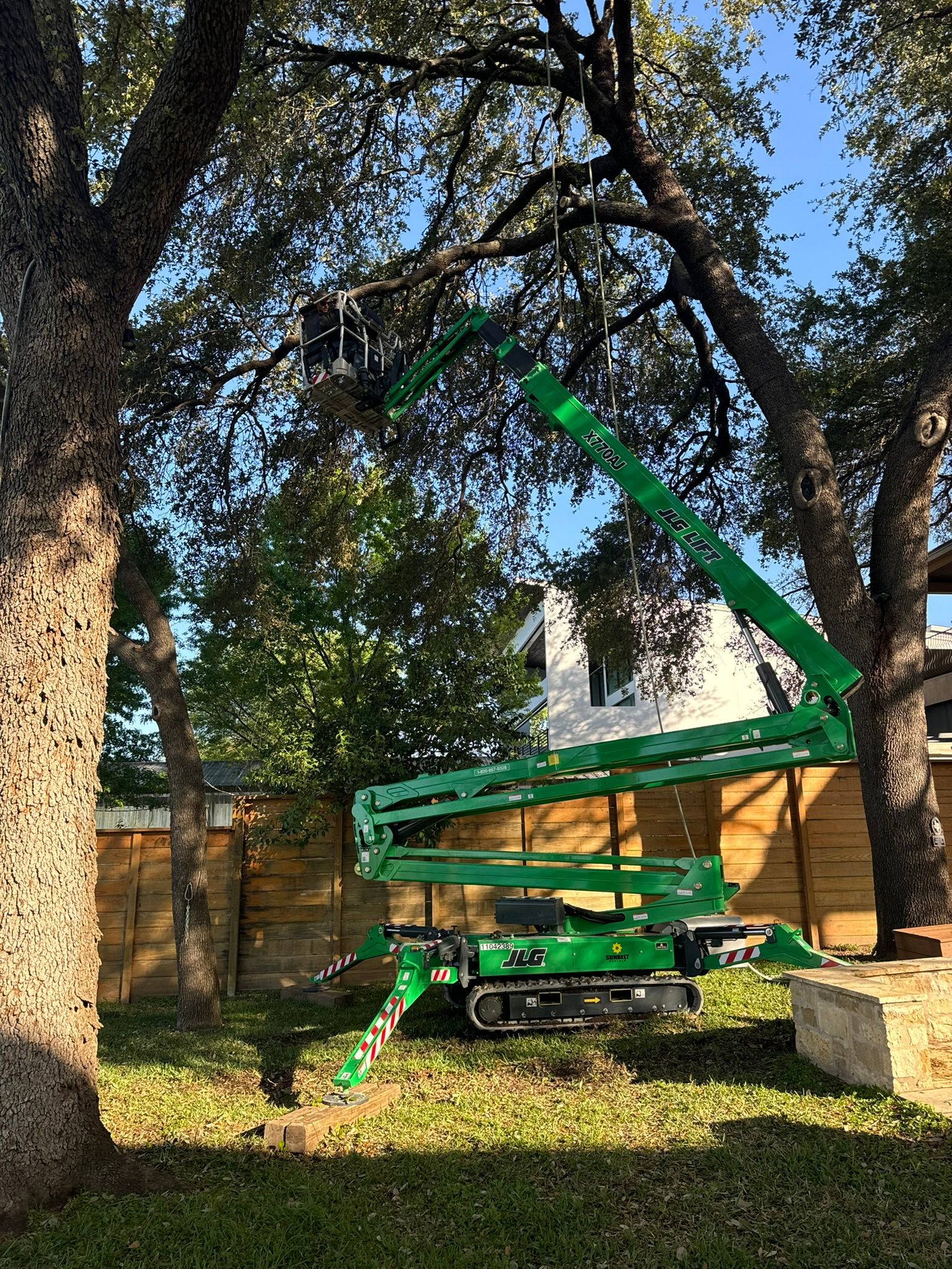 A green crane is cutting a tree in a backyard.