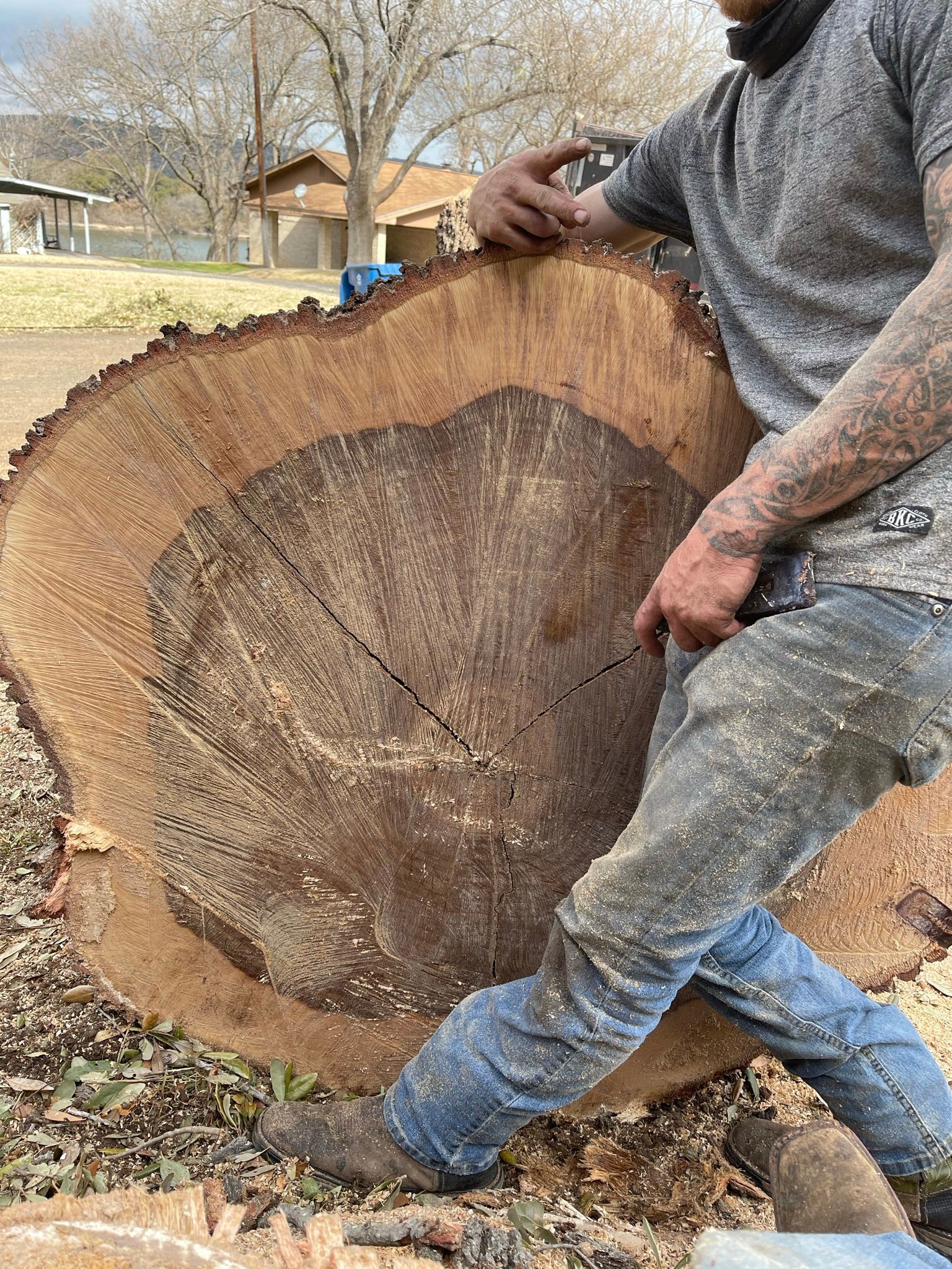 A man is standing next to a large tree stump.